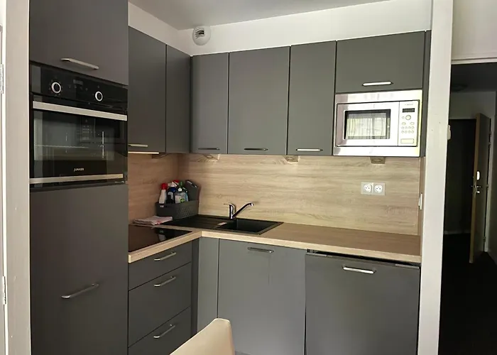 Gourette Piscine 4 Pers., Animaux Admis - Fr-1-860-46 * Eaux-Bonnes